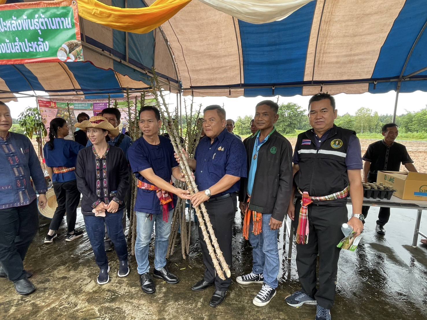 ศูนย์ขยายพันธุ์พืชที่ 7 จังหวัดมหาสารคาม เข้าร่วมจัดงานรณรงค์และเชื่อมโยงเครือข่ายมันสำปะหลังสะอาด (อิทธิ 1)