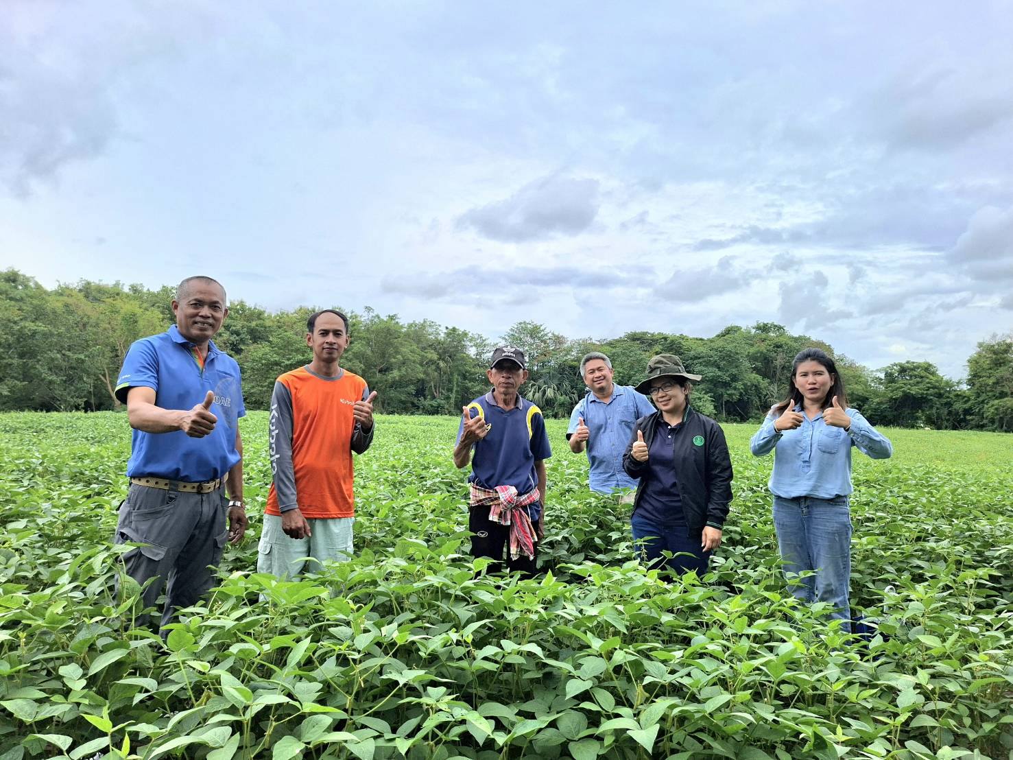 ศูนย์ขยายพันธุ์พืชที่ 7 จังหวัดมหาสารคาม ติดตามการดำเนินงานแปลงผลิตเมล็ดพันธุ์ถั่วเหลือง เครือข่ายเกษตรกรผู้ผลิตและขยายพืชพันธุ์ดี ต.นาหนองทุ่ม อ.ชุมแพ จ.ขอนแก่น