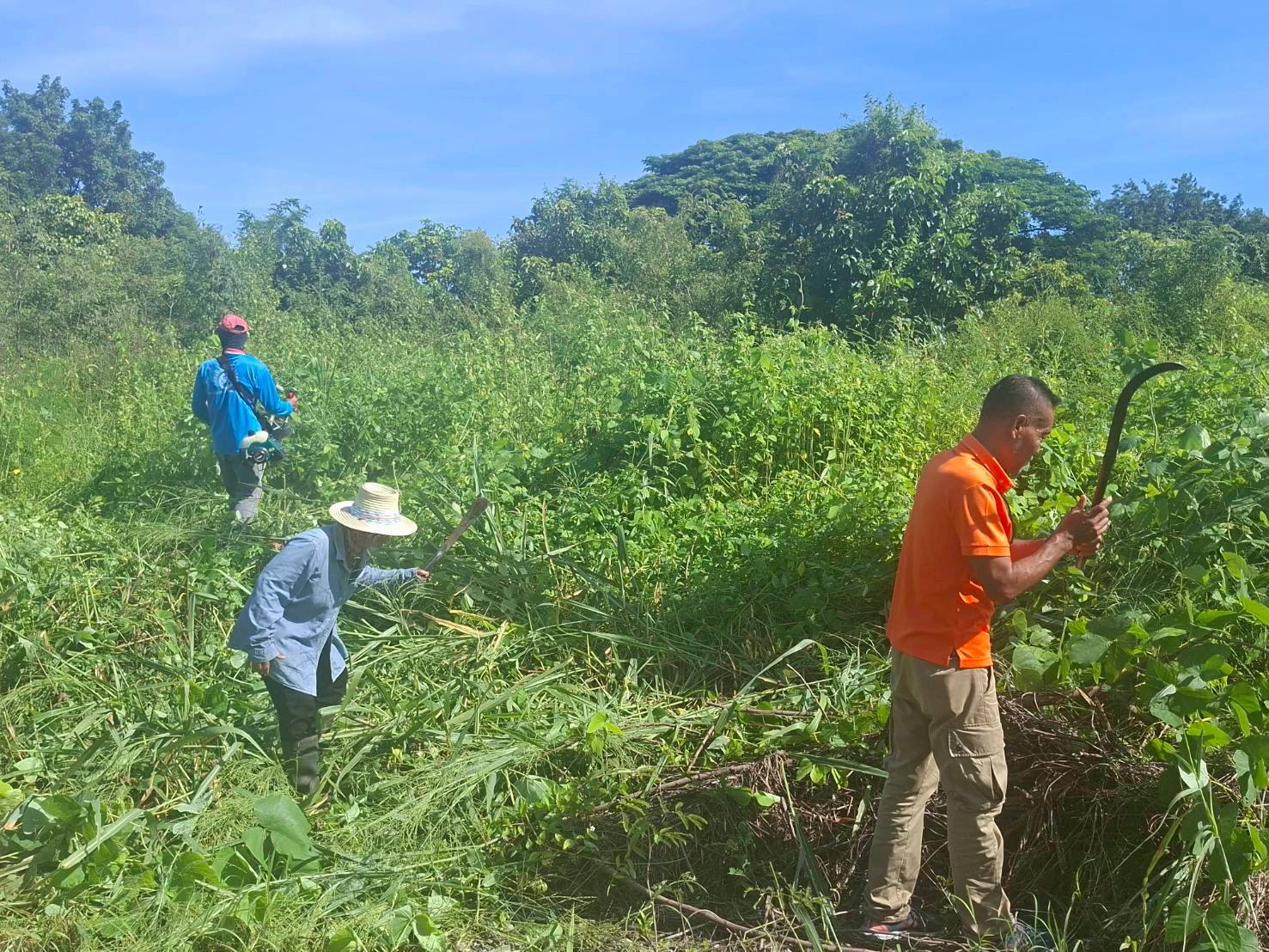 ศูนย์ขยายพันธุ์พืชที่ 7 จังหวัดมหาสารคาม ร่วมทำความสะอาดบริเวณภายในศูนย์ขยายพันธุ์พืชที่ 7 จังหวัดมหาสารคาม